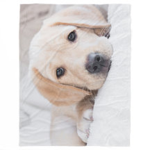 gouden puppy Labrador deken