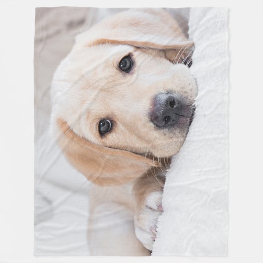 gouden puppy Labrador deken (Voorkant)
