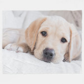 gouden puppy Labrador deken (Voorkant (Horizontaal))
