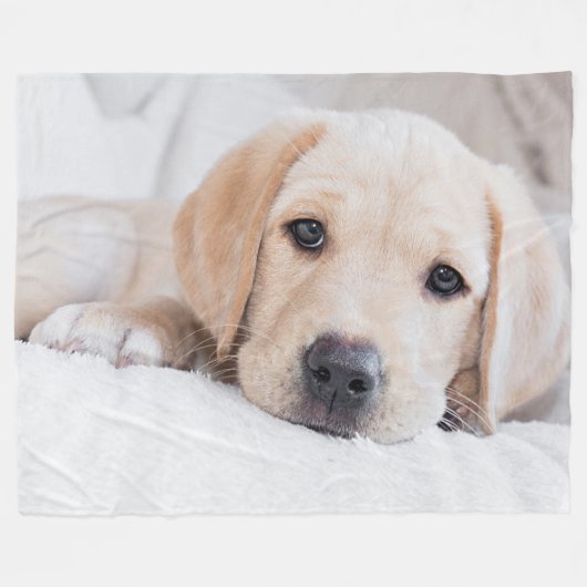 gouden puppy Labrador deken (Voorkant (Horizontaal))