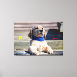 Gouden Puppy met Bandana - Canvas