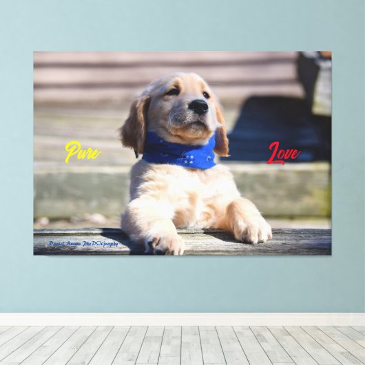 Gouden Puppy met Bandana - Canvas (Insitu (Houten vloer))