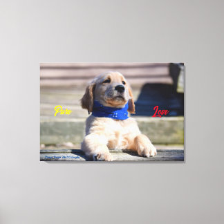 Gouden Puppy met Bandana - Canvas Afdruk