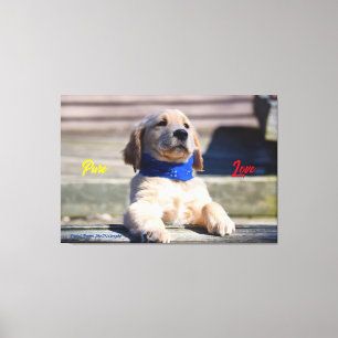Gouden Puppy met Bandana - Canvas Afdruk