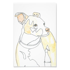 Gouden Puppy Print Foto Afdruk