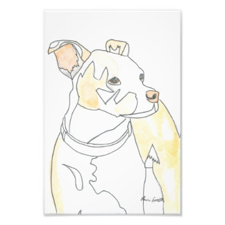 Gouden Puppy Print Foto Afdruk