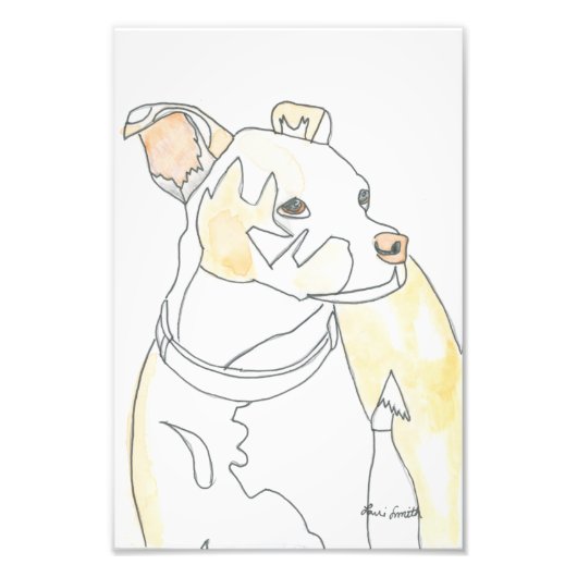 Gouden Puppy Print Foto Afdruk (Voorkant)