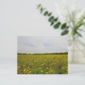 Gouden Ragwort, Ohio Briefkaart (Staand voorkant)