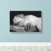 gouden rector slaapt op oud boek canvas afdruk (Insitu (Houten vloer))