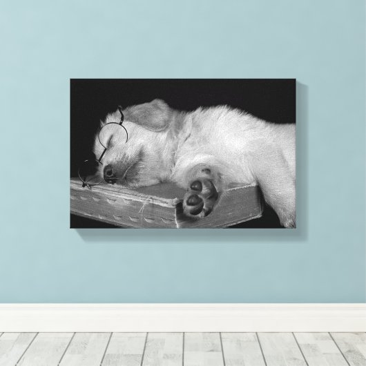 gouden rector slaapt op oud boek canvas afdruk (Insitu (Houten vloer))