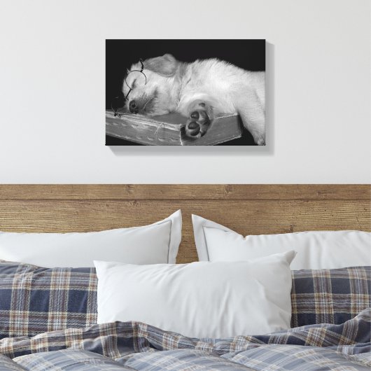 gouden rector slaapt op oud boek canvas afdruk (Insitu (Slaapkamer))