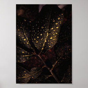 Gouden Regen Gloed – Natuurlijke Elegantie Poster