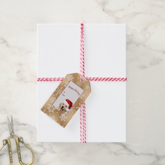 gouden rekwieg met Santa hat Cadeaulabel (Met Touw)