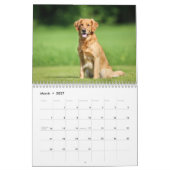 Gouden retriever 2027 Agenda Kalender (Mar 2027)