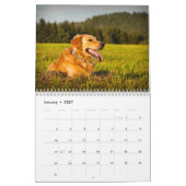 Gouden retriever 2027 Agenda Kalender (Jan 2027)