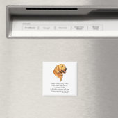 Gouden Retriever Aandenken Magneet (Insitu (Vaatwasser))