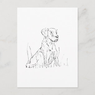 Gouden Retriever Ansichtkaart - Ink Dog Illustrati Briefkaart