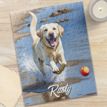 Gouden Retriever Apport Waterverf Strand Hond