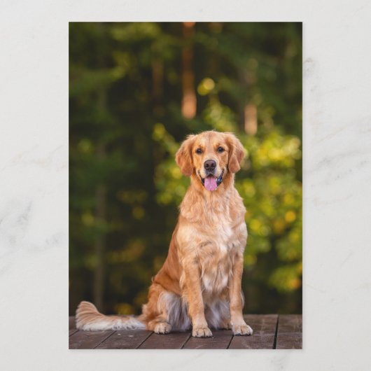 Gouden Retriever Bar Menu (Achterkant)