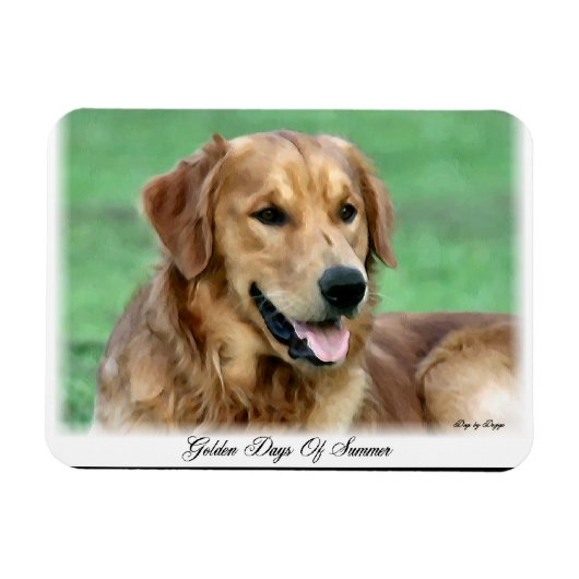 Gouden Retriever Dagen van de Zomer Magneet (Horizontaal)