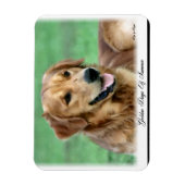 Gouden Retriever Dagen van de Zomer Magneet (Verticaal)