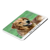 Gouden Retriever Dagen van de Zomer Magneet (Linkerzijde)