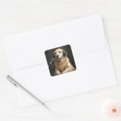 Gouden Retriever die een Podcast presenteert Vierkante Sticker (Envelop)