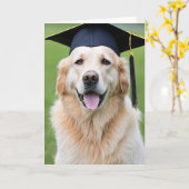 Gouden Retriever Dragen Graduation Cap Kaart (Gele Bloem)