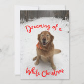 Gouden Retriever dromen van witte kerst Feestdagenkaart (Voorkant)