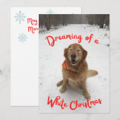 Gouden Retriever dromen van witte kerst Feestdagenkaart (Voorkant / Achterkant)