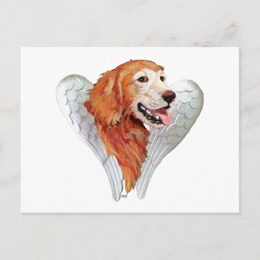 Gouden Retriever Engel Briefkaart (Voorkant)