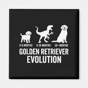Gouden retriever evolutie hond mama papa goud magneet
