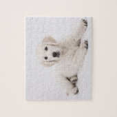 Gouden Retriever Foto Legpuzzel (Verticaal)