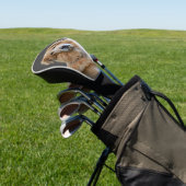 Gouden retriever Geïsoleerde hond Golfheadcover (Insitu)
