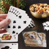Gouden retriever Geïsoleerde hond Pokerkaarten (Insitu)