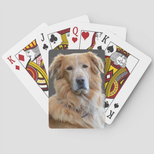 Gouden retriever Geïsoleerde hond Pokerkaarten (Achterkant)