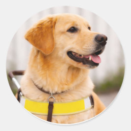 Gouden Retriever Geleidehond Rechter Profiel Ronde Sticker