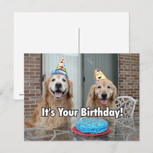 Gouden Retriever Gelukkige Verjaardagstaart Briefkaart (Voorkant / Achterkant)