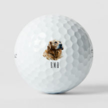 Gouden Retriever