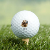 Gouden Retriever Golfballen (Insitu Shirt)