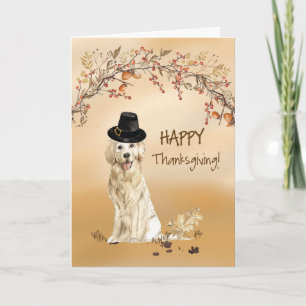 Gouden Retriever Grappige Pelgrimshoed Thanksgivin Kaart