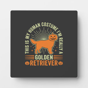 Gouden Retriever Halloween Menselijke Kostuum Vint Fotoplaat