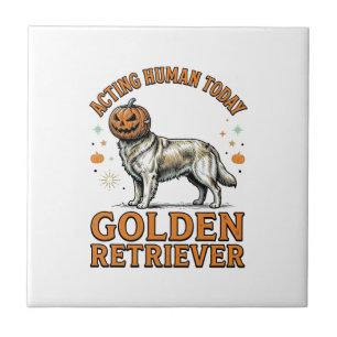 Gouden Retriever Halloween Pompoen Hond Kostuum Sh Tegeltje
