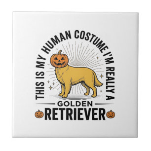 Gouden Retriever Halloween Pompoen Kostuum Ontwerp Tegeltje