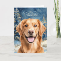 Gouden Retriever Hond Bosrijk Bos Kerstmis