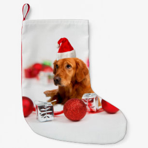 Gouden Retriever Hond Een Rode Santa Hoed Kleine Kerstsok