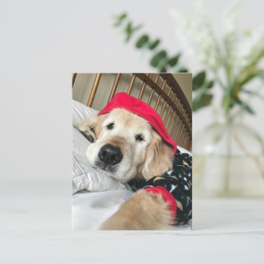 Gouden Retriever Hond in Pyjama's Beterschap Briefkaart (Staand voorkant)