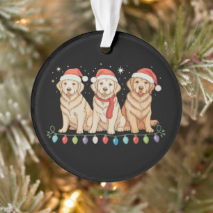 Gouden Retriever Hond Kerstmis Sinterklaas Kerst L Ornament