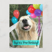 Gouden Retriever-hond met ballonnen verjaardag Briefkaart (Voorkant)