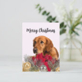 Gouden Retriever-hond met kerstversiering Briefkaart (Staand voorkant)